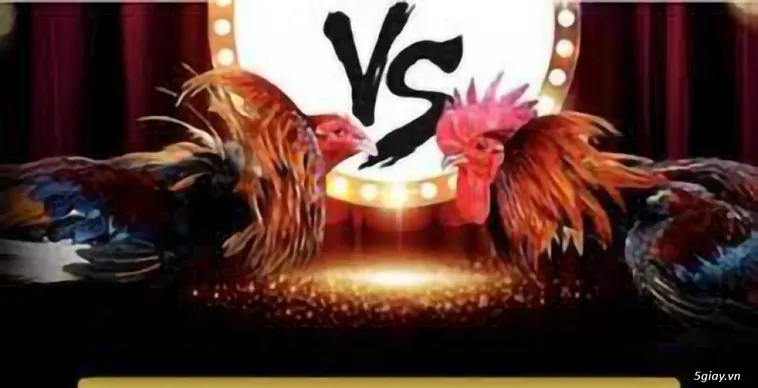 Khám Phá Sảnh Cược Đá Gà Bet999 Đỉnh Cao Nhận Thưởng Ngay Hôm Nay