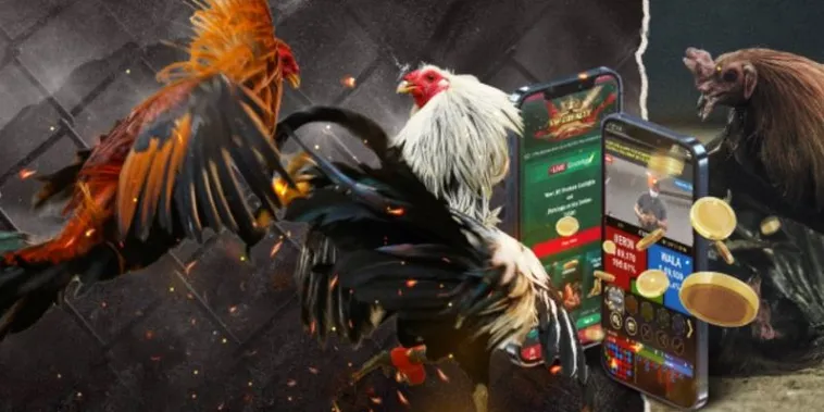 Bí Quyết Chiến Thắng Khi Áp Dụng Cách Chơi Đá Gà GA28 Tại Bet999 Mới Nhất 2 Bí Quyết Chiến Thắng Khi Áp Dụng Cách Chơi Đá Gà GA28 Tại Bet999 Mới Nhất