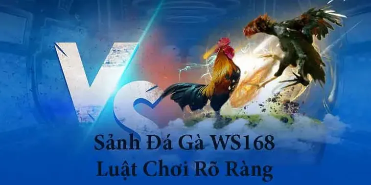 Hướng Dẫn Chi Tiết Cách Chơi Đá Gà WS168 Tại Bet999 Thắng Lớn Ngay Hôm Nay 1 Hướng Dẫn Chi Tiết Cách Chơi Đá Gà WS168 Tại Bet999 Thắng Lớn Ngay Hôm Nay