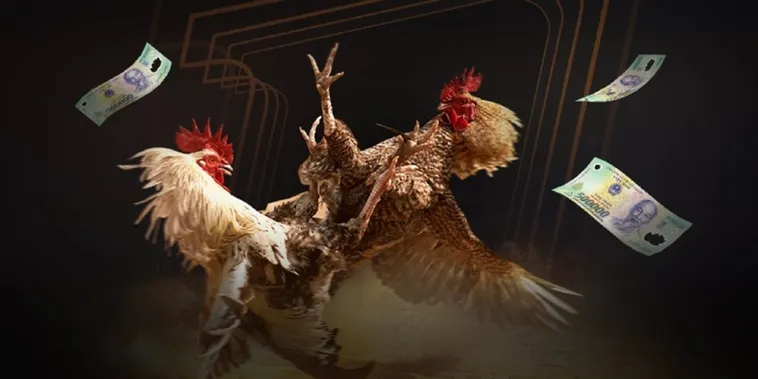 Khám Phá Sảnh Cược Đá Gà Bet999 Đỉnh Cao Nhận Thưởng Ngay Hôm Nay