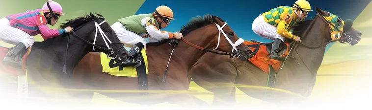 Khám Phá Cá Cược Đua Ngựa Bet999 Đẳng Cấp Nhận Thưởng Lớn Ngay 1 Khám Phá Cá Cược Đua Ngựa Bet999 Đẳng Cấp Nhận Thưởng Lớn Ngay